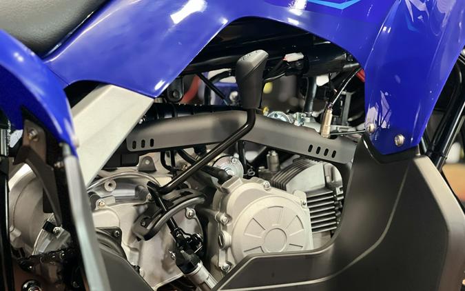 2026 Yamaha Raptor 110