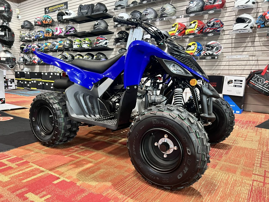 2026 Yamaha Raptor 110