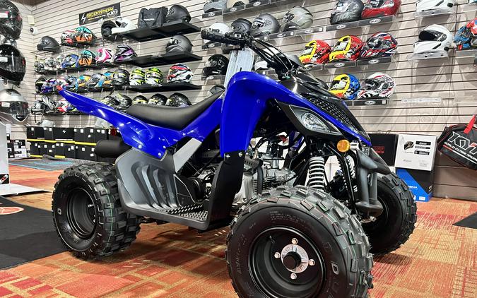 2026 Yamaha Raptor 110