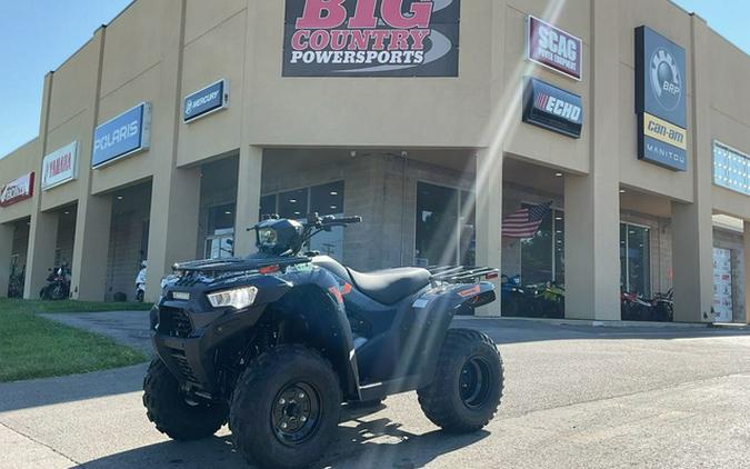 2026 Kawasaki Brute Force 300
