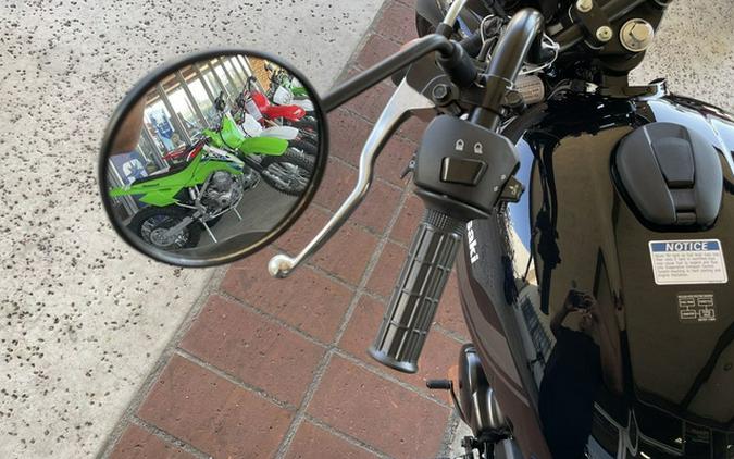 2026 Kawasaki W175 LTD