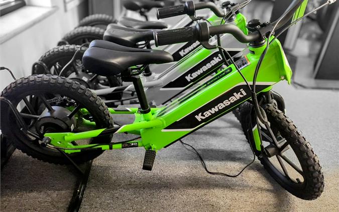 2023 Kawasaki Elektrode