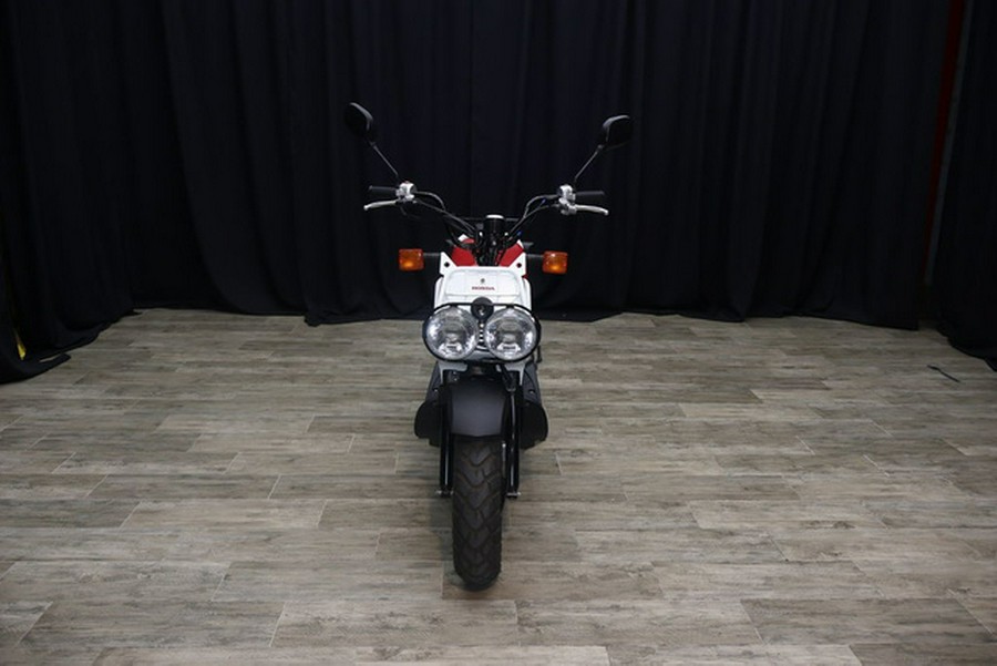 2020 Honda Ruckus