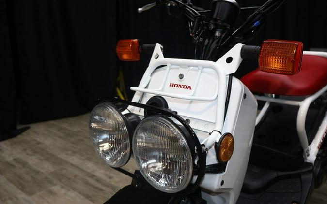 2020 Honda Ruckus