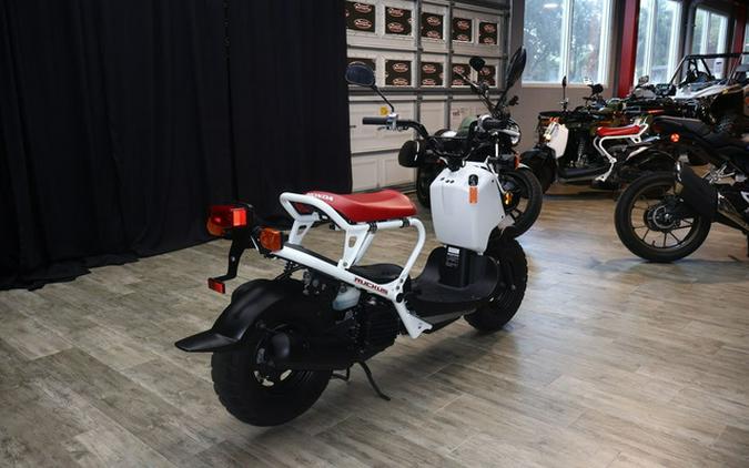 2020 Honda Ruckus