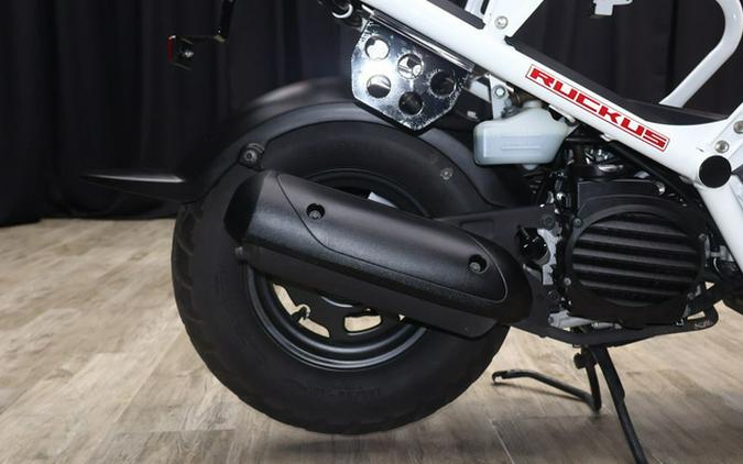 2020 Honda Ruckus