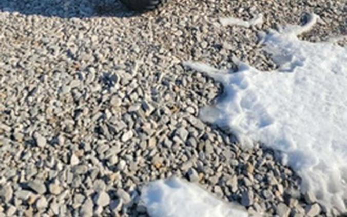 2019 Can-Am Maverick X3 X ds TURBO R