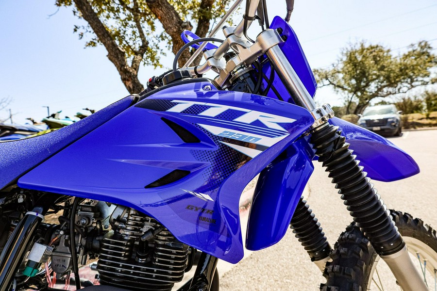 2025 YAMAHA TTR230