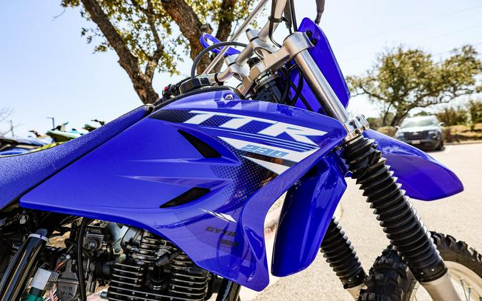 2025 YAMAHA TTR230