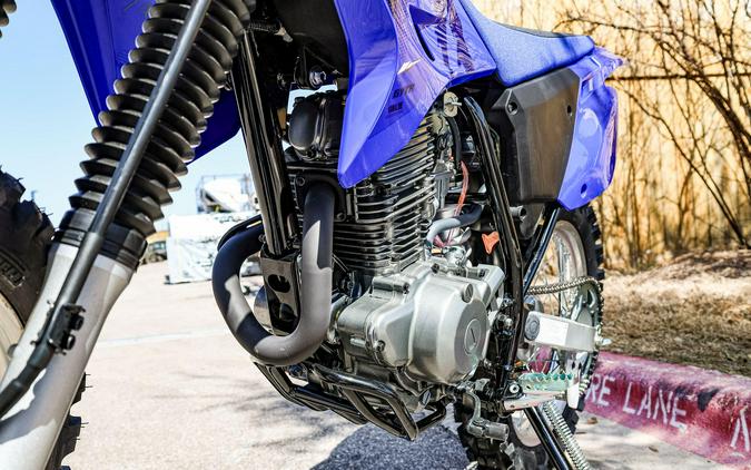 2025 YAMAHA TTR230