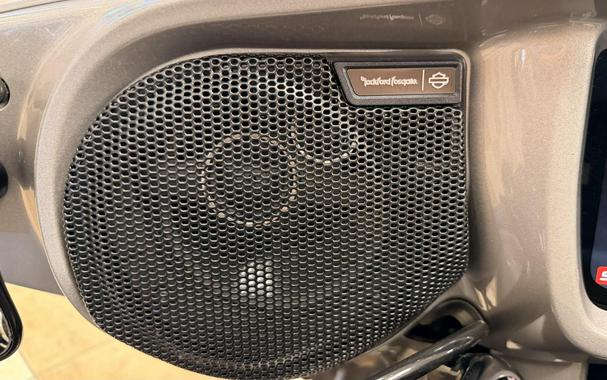 2023 Harley-Davidson® CVO™ Street Glide® Dark Platinum w/Pinstripe