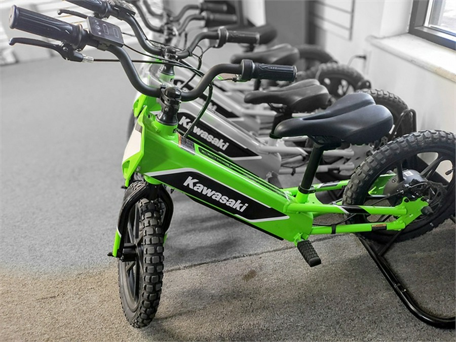 2023 Kawasaki Elektrode