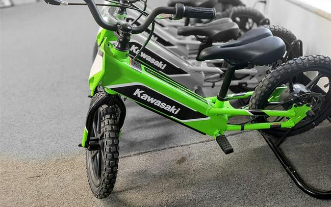 2023 Kawasaki Elektrode