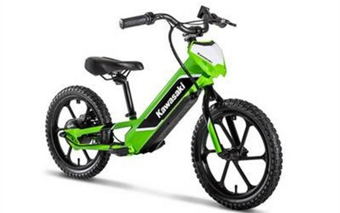 2023 Kawasaki Elektrode