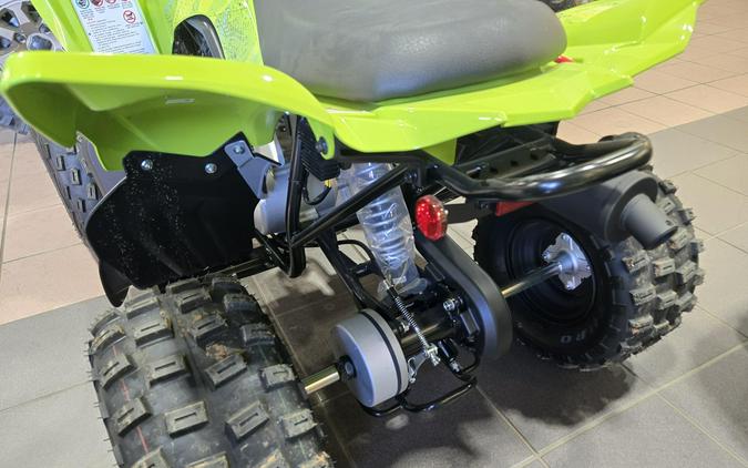 2026 YAMAHA RAPTOR 110