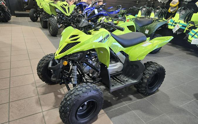 2026 YAMAHA RAPTOR 110