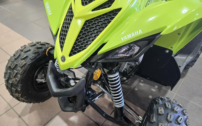 2026 YAMAHA RAPTOR 110