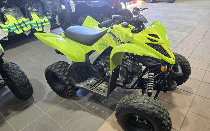 2026 YAMAHA RAPTOR 110