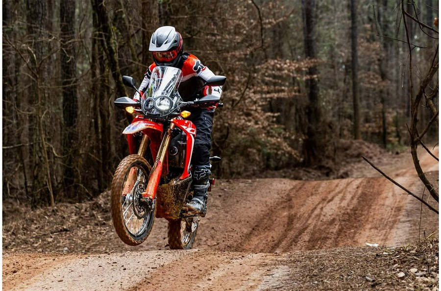 2023 Honda CRF300L RALLY