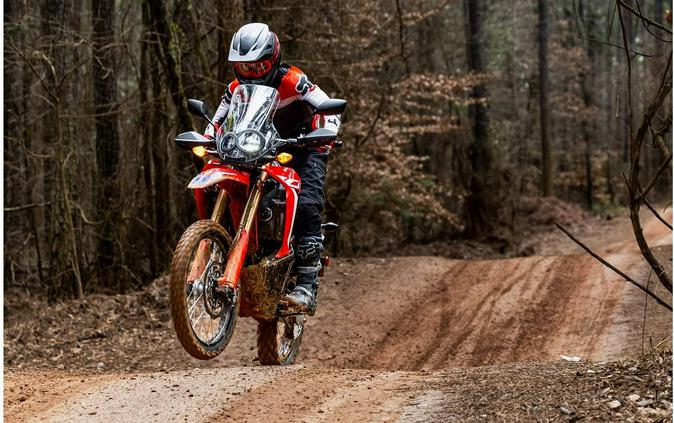 2023 Honda CRF300L RALLY