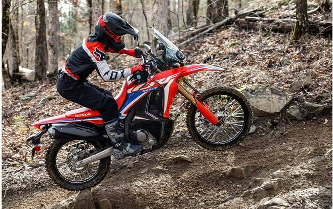 2023 Honda CRF300L RALLY