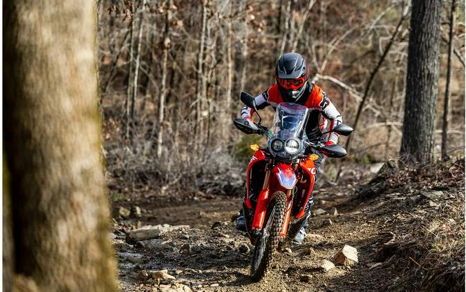 2023 Honda CRF300L RALLY