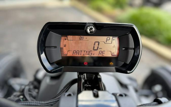 2025 Can-Am Ryker Rally