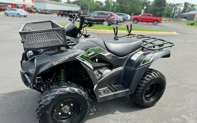 2015 Kawasaki Brute Force® 300