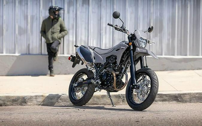 2025 Kawasaki KLX 230SM ABS