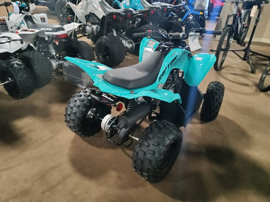 2024 Yamaha Raptor 110