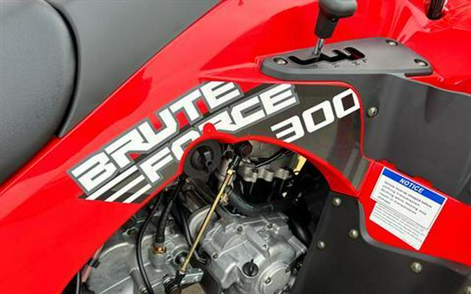 2024 Kawasaki Brute Force 300