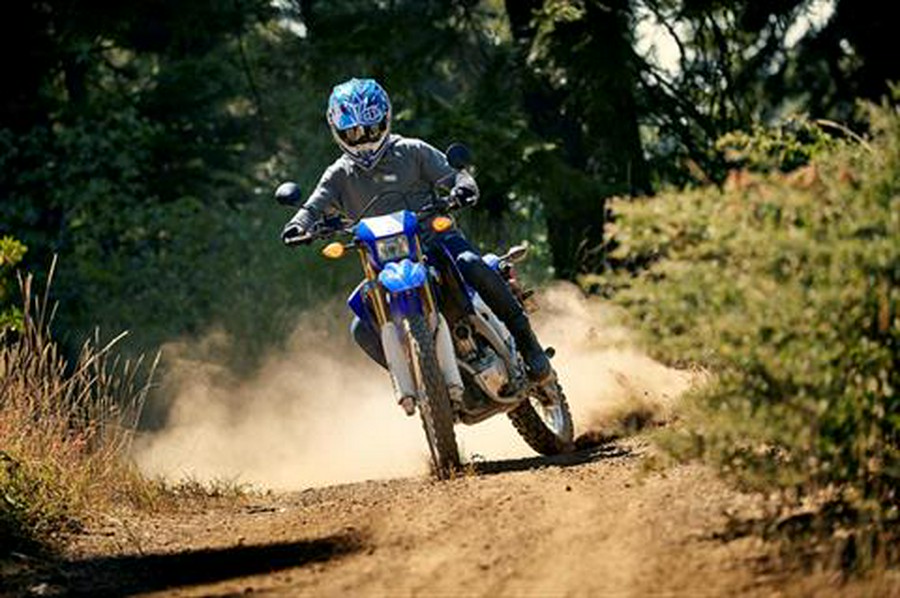 2020 Yamaha WR250R