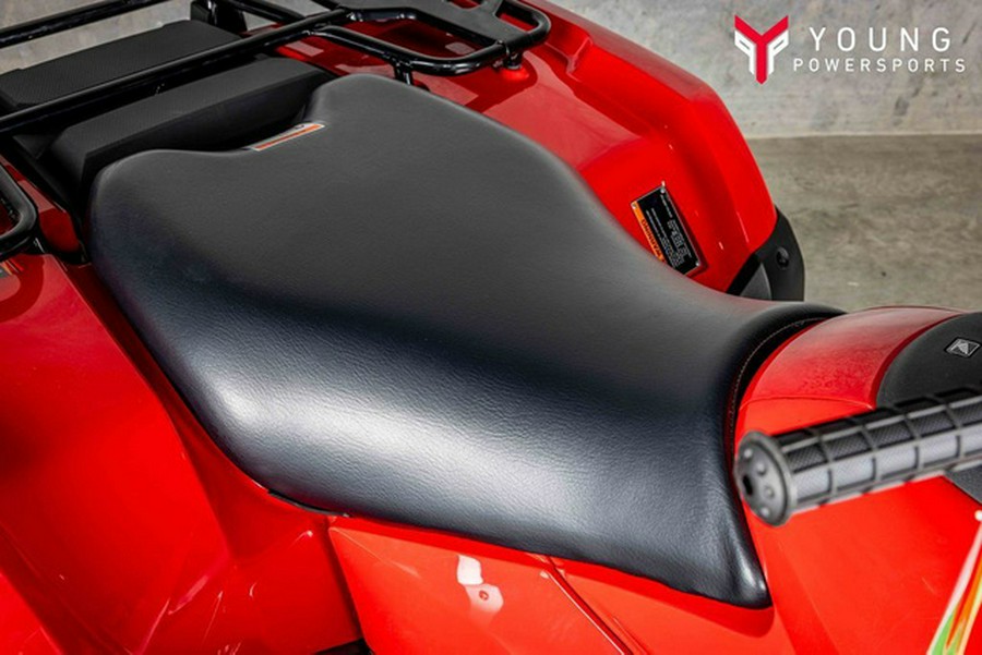 2025 Honda FourTrax Rubicon 700 4x4 Automatic 4x4 EPS