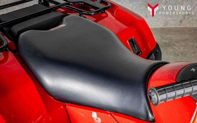 2025 Honda FourTrax Rubicon 700 4x4 Automatic 4x4 EPS