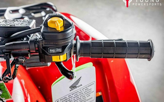 2025 Honda FourTrax Rubicon 700 4x4 Automatic 4x4 EPS