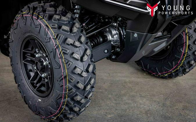 2025 Honda FourTrax Rubicon 700 4x4 Automatic 4x4 EPS