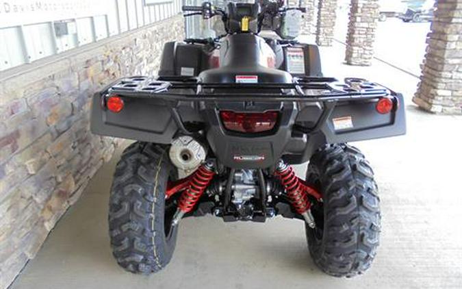 2024 Honda FourTrax Foreman Rubicon 4x4 Automatic DCT EPS Deluxe