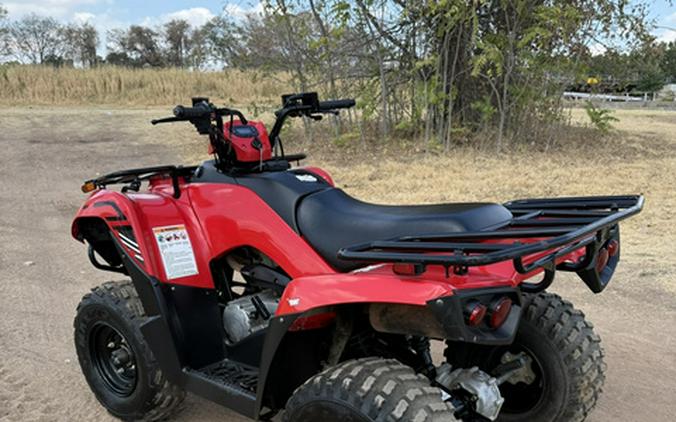 2024 Kawasaki Brute Force 300