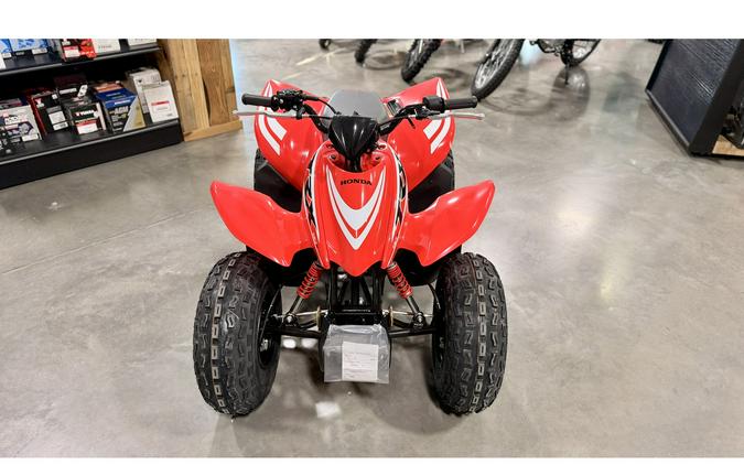 2026 Honda TRX90X