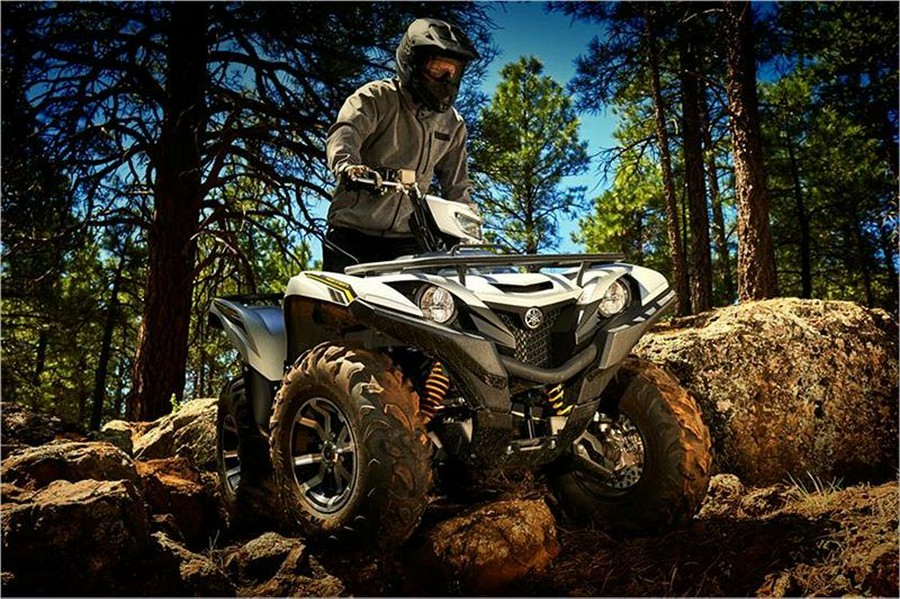 2017 Yamaha Grizzly EPS SE
