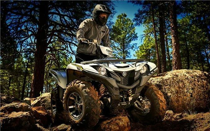 2017 Yamaha Grizzly EPS SE