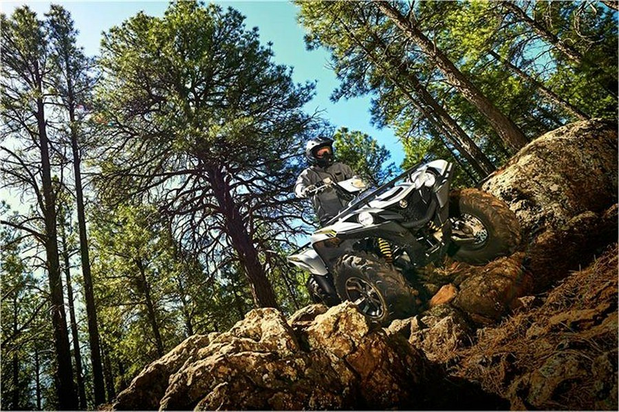 2017 Yamaha Grizzly EPS SE