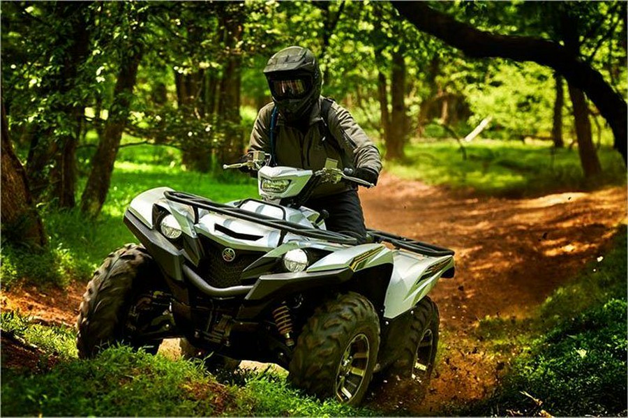 2017 Yamaha Grizzly EPS SE