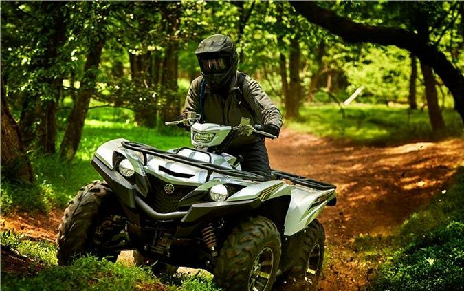 2017 Yamaha Grizzly EPS SE