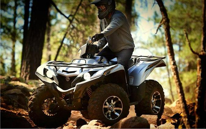 2017 Yamaha Grizzly EPS SE