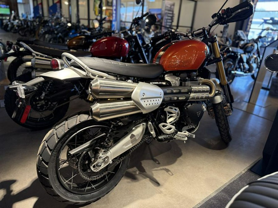 New 2025 Triumph Scrambler 1200 XE