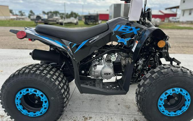 2026 Ice Bear Powersports GRZ125-D