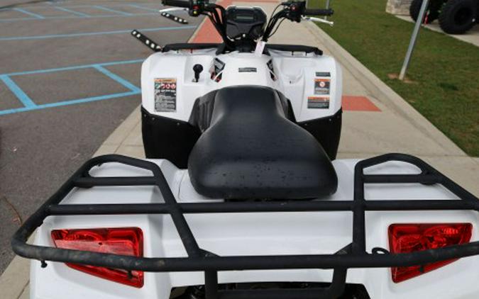 2025 Kawasaki Brute Force® 450 4x4