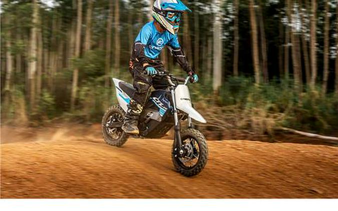 2024 CFMOTO CFX-2E