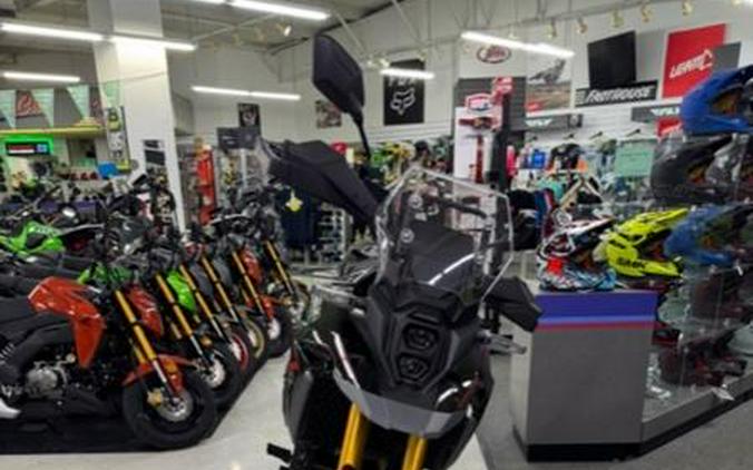 2025 Suzuki V-STROM 800DE